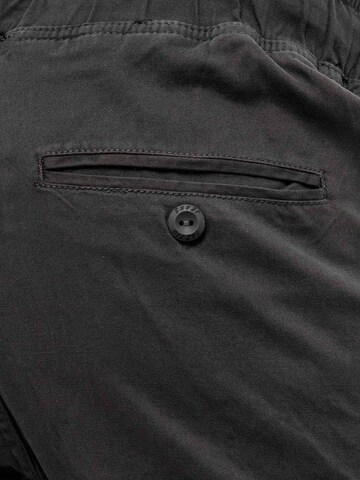 Regular Pantalon cargo '16610' Tazzio en gris