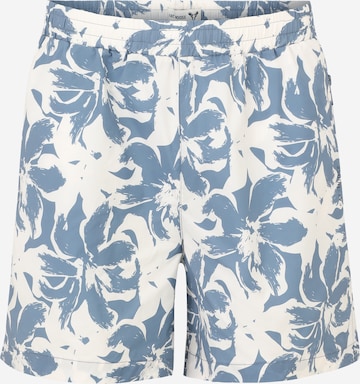 Fat Moose Board Shorts 'Ocean' in Blue: front