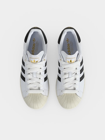 ADIDAS ORIGINALS Σνίκερ χαμηλό 'SUPERSTAR II' σε λευκό
