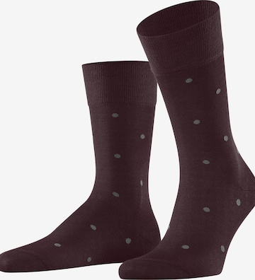 FALKE Socks 'Dot' in Red: front