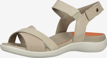 Arcopedico Strap Sandals in Beige: front