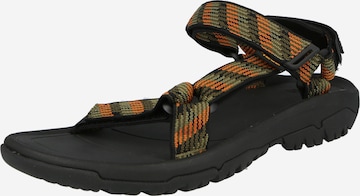 TEVA - Sandalias de trekking en verde: frente