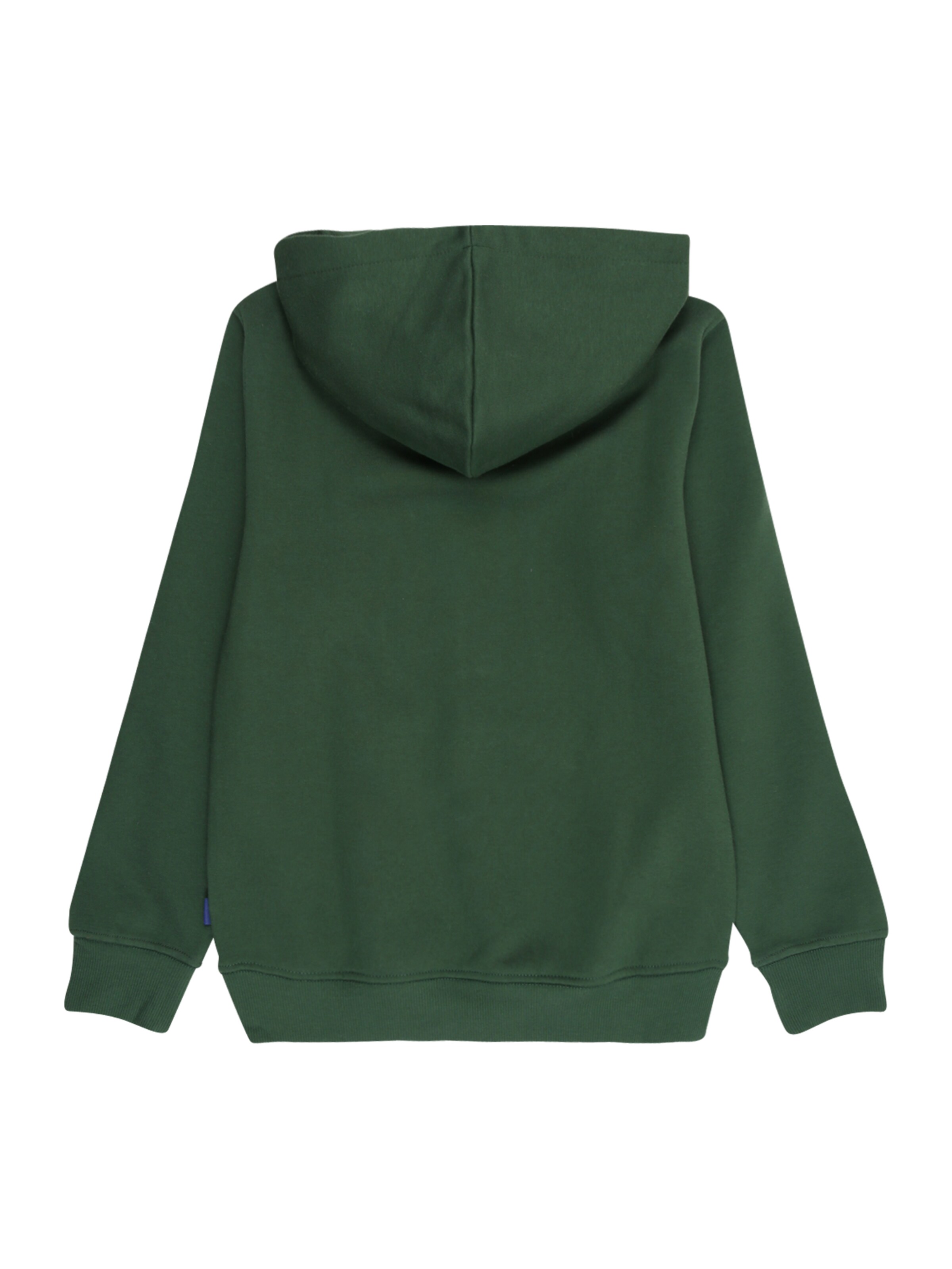 Only & Sons Junior Sweatshirt 'OSJCURATED' in Grün