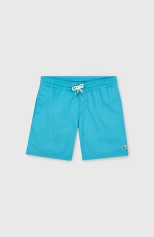 O'NEILL Board Shorts 'Vert 14' in Blue: front