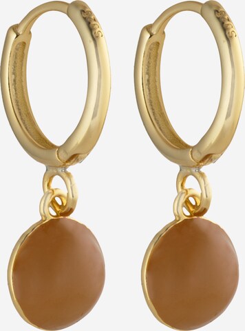 Fräulein Wunder Earrings 'Kiwi' in Gold