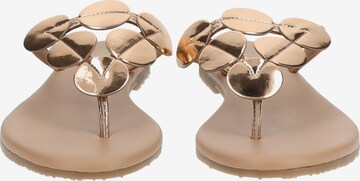 Dockers by Gerli T-Bar Sandals in Gold