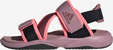 ADIDAS TERREX Sandals 'Sumra' in Pink: front