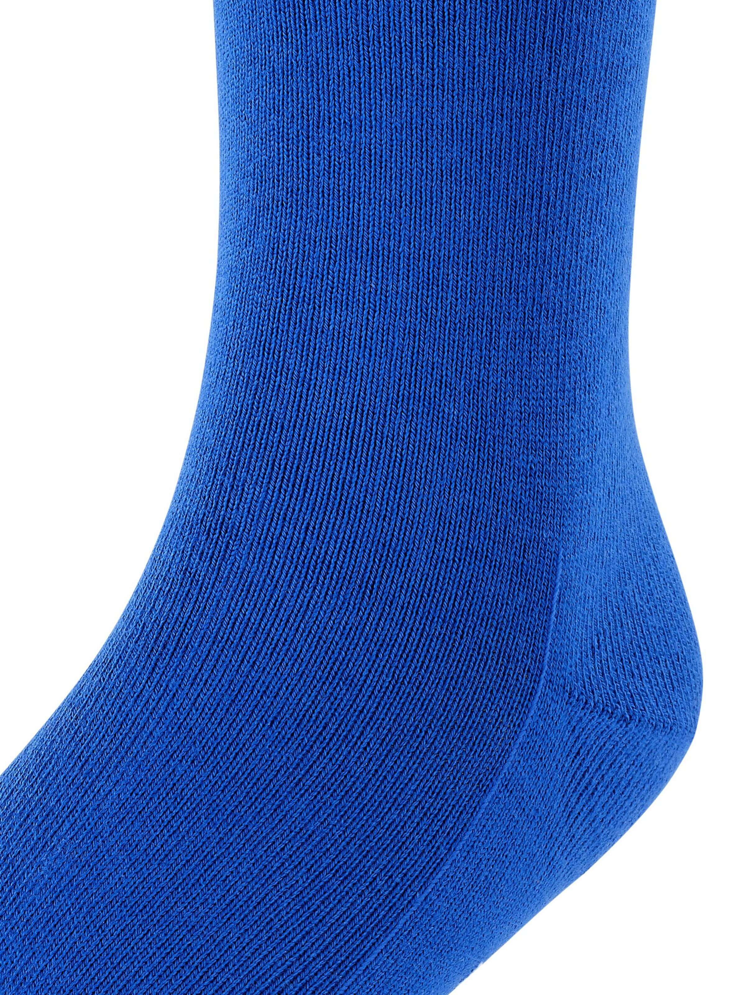 FALKE Socks 'Family' in Blue