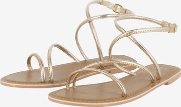 faina Sandalen met riem in Goud