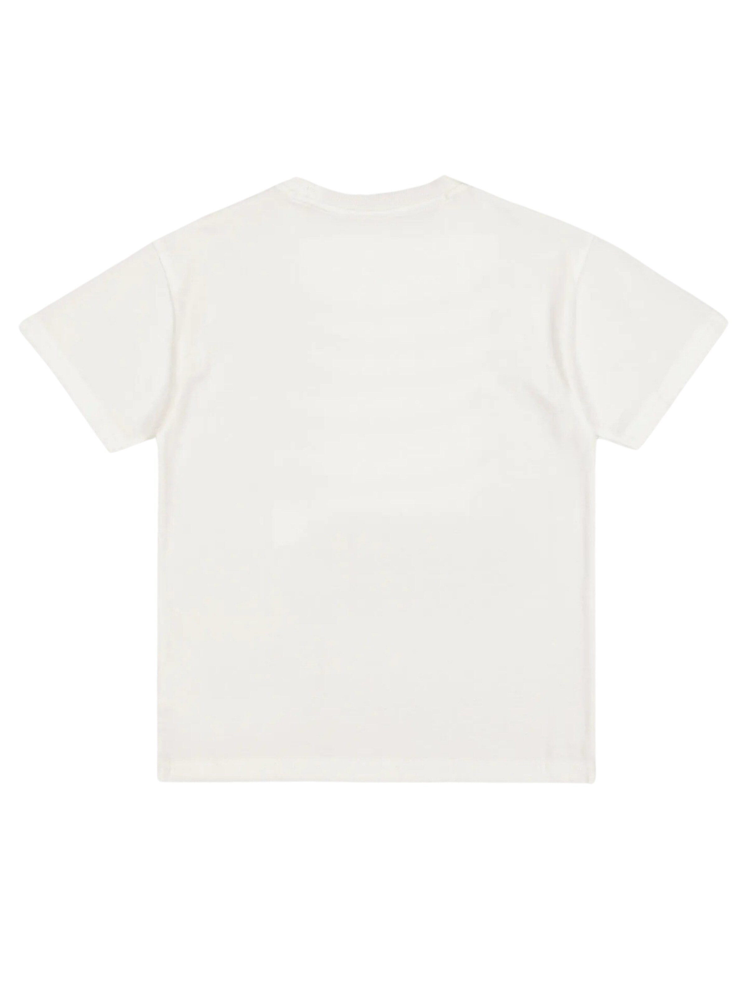 Champion Authentic Athletic Apparel Shirt in White