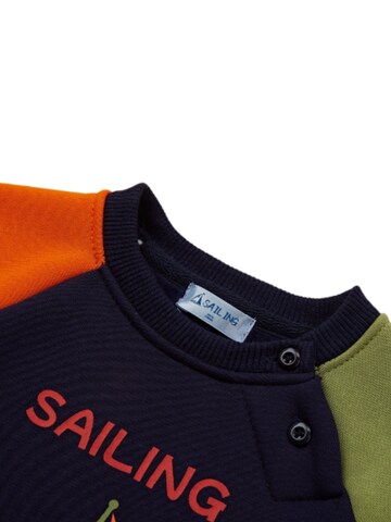 Sailing Sweater in Mixed colors