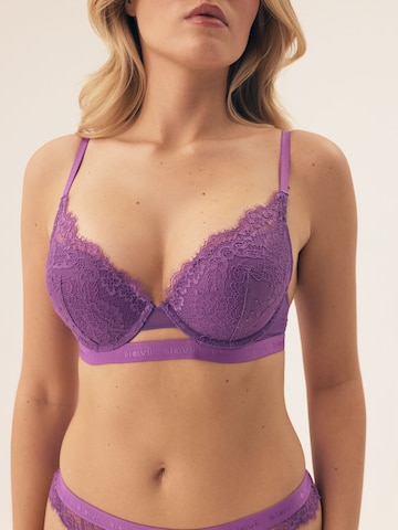 Push-up Reggiseno 'Push-up-BH Ocrissa, florale Spitze, Unterbrustband mit Logo' di ESOTIQ in lilla
