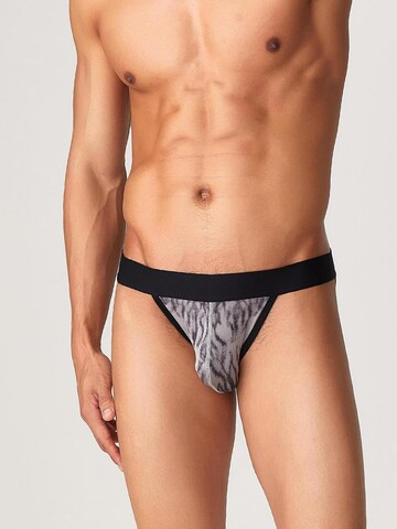TAUWELL Panty 'Tiger' in Grey