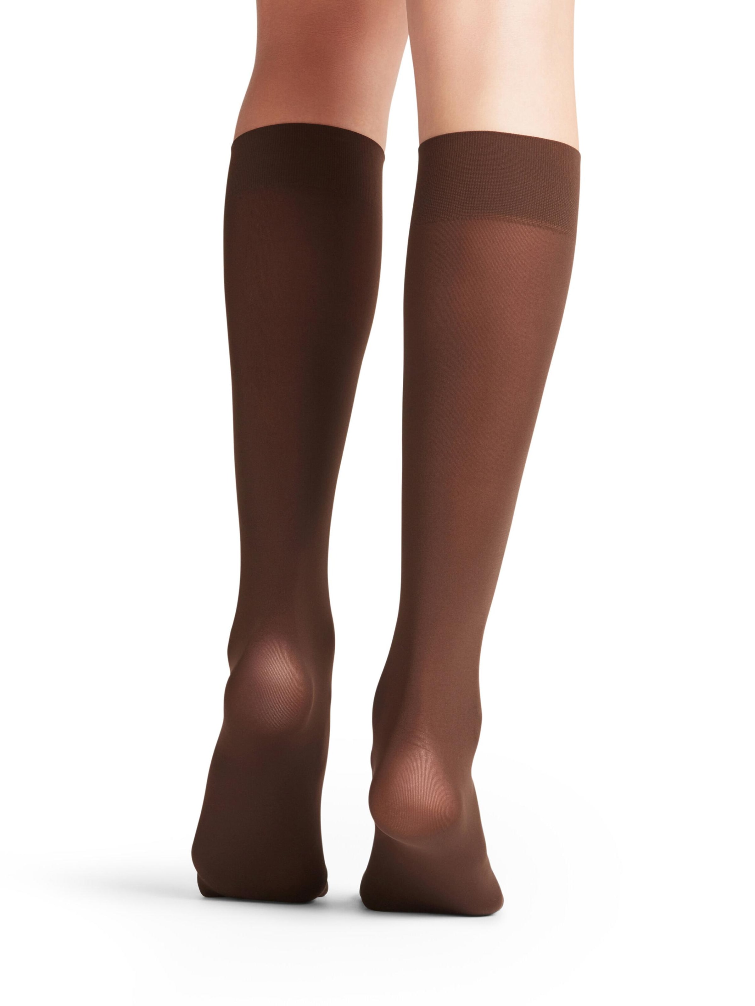FALKE Over the Knee Socks 'Pure Matt' in Brown