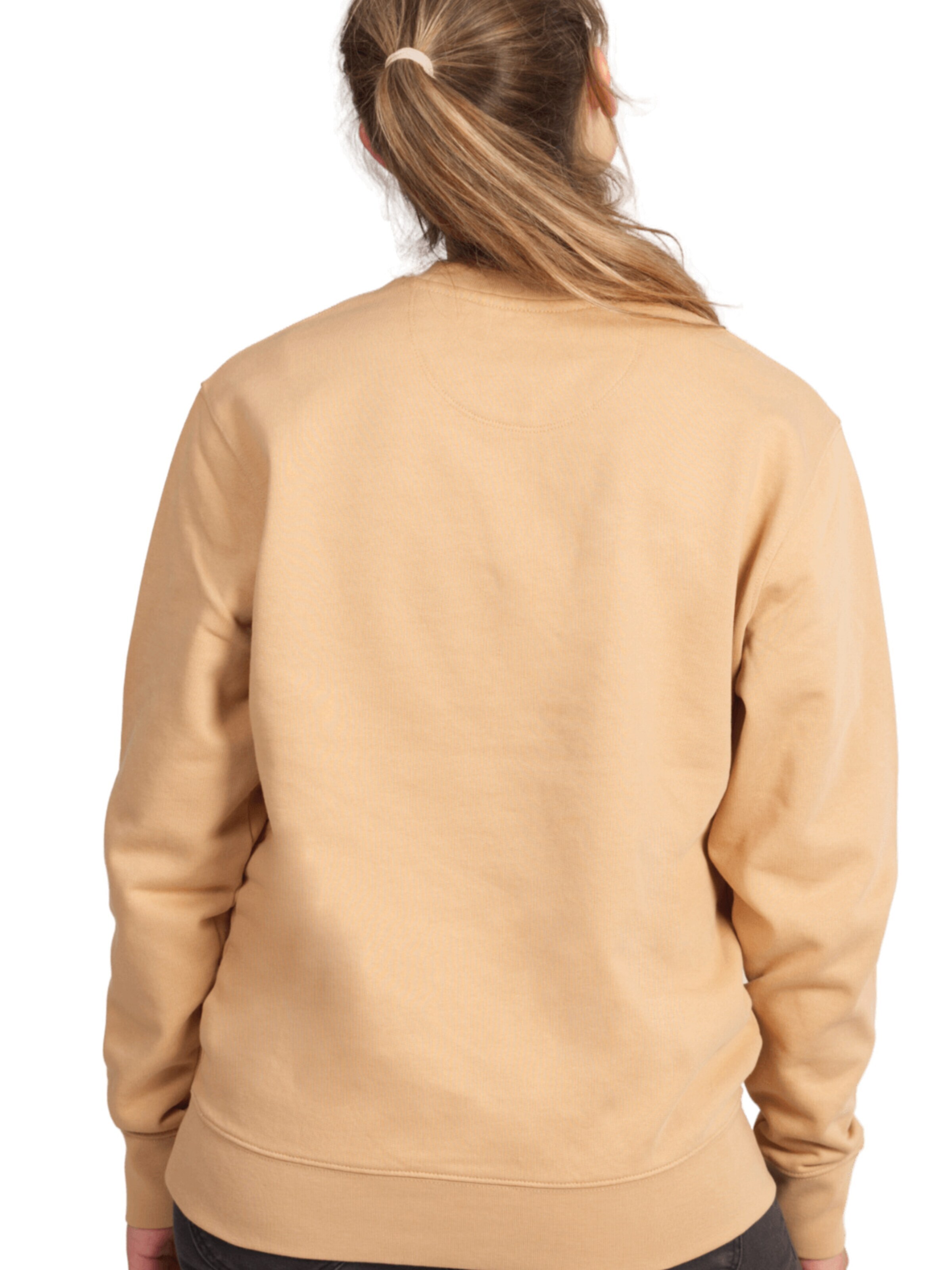 Life-Tree Pullover 'Organic Fairwear'‌‌‌‌‌‌‌ in Beige