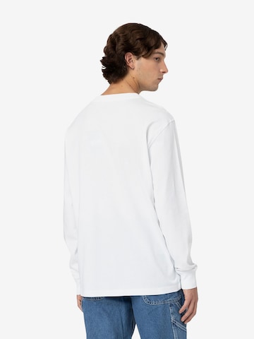 DICKIES Bluser & t-shirts 'SUMMERDALE' i hvid