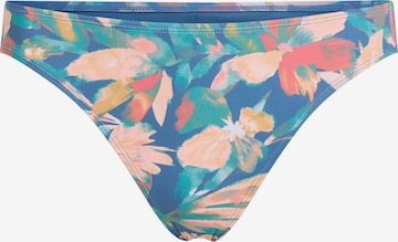 O'NEILL Bikinihose in Blau: Vorderseite
