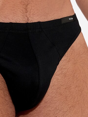 HOM Panty 'Premium Cotton' in Mixed colors