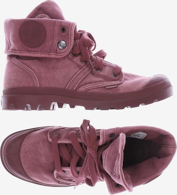 Palladium Sneaker 41,5 in Pink: predná strana