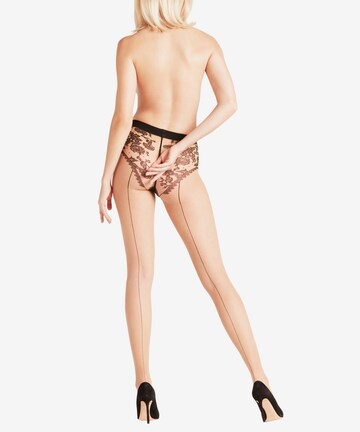 FALKE Fine Tights 'Sheer Lady' in Beige