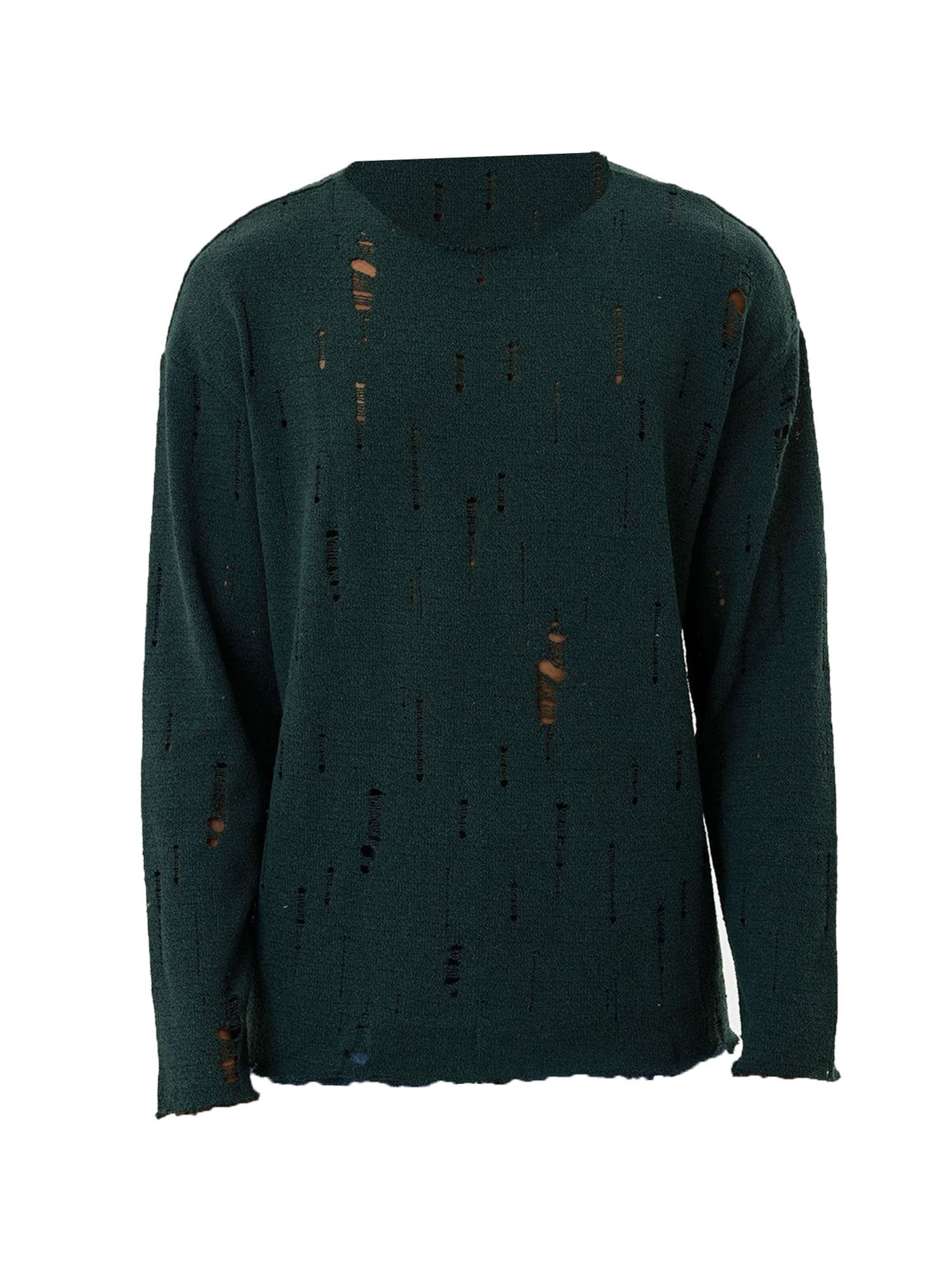 Pullover 'Yuri' di Dandalo in verde: frontale