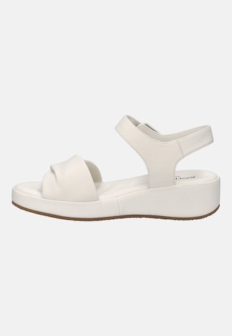 JOSEF SEIBEL Sandal 'EVE 02' in White