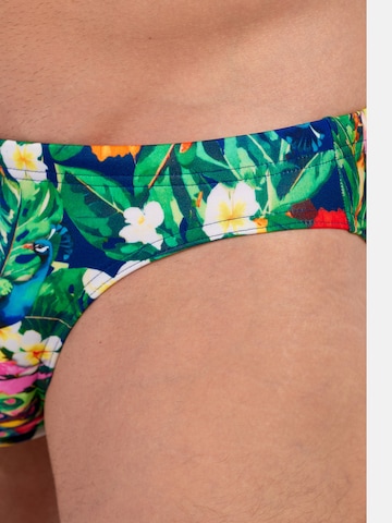 HOM Badehose ' Swim Micro Briefs Peacock ' in Grün