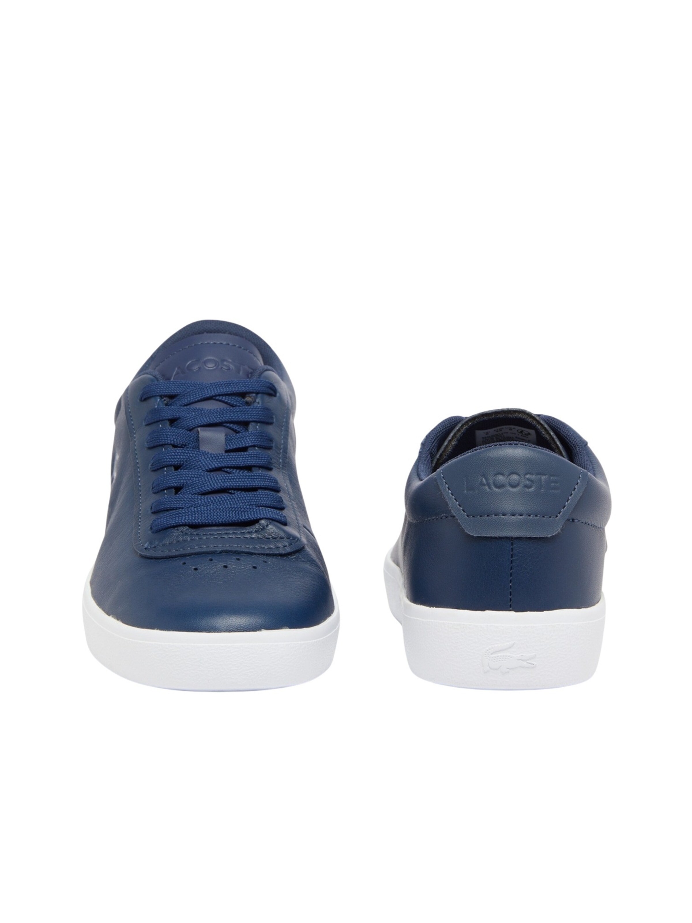 Baskets basses 'Baseshot Evo' LACOSTE en bleu