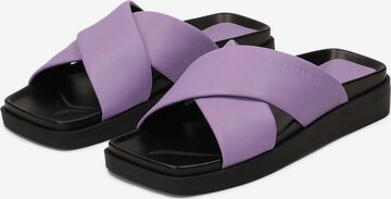 Mule Kazar Studio en violet