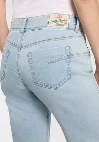 Herrlicher Flared Jeans in Blue