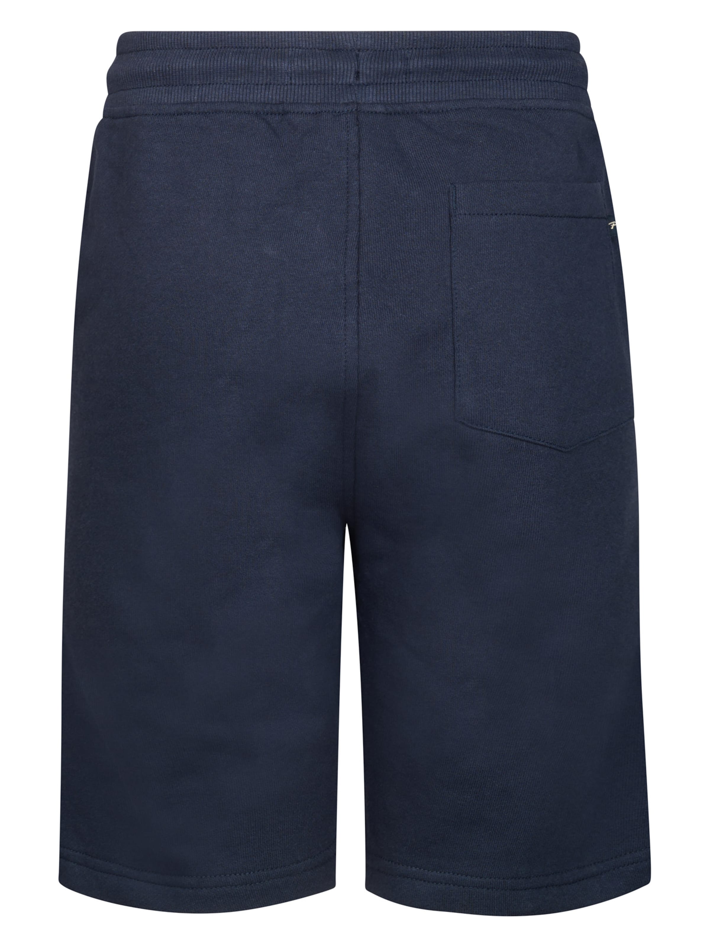 Petrol Industries Regular Broek 'Alamos' in Blauw