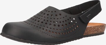 IGI&CO Clogs in Schwarz: predná strana