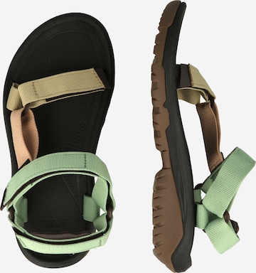 TEVA Sandals 'XLT2' in Mixed colors