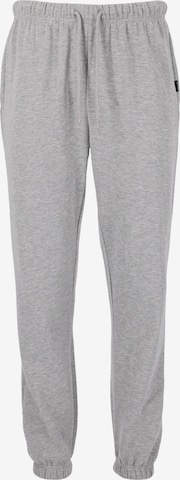 ENDURANCE Tapered Workout Pants 'Sartine' in Grey: front