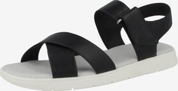 GEOX Sandalen met riem in Zwart: voorkant