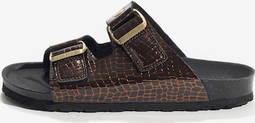 juoda Bayton Šlepetės 'CEZANNE': priekis