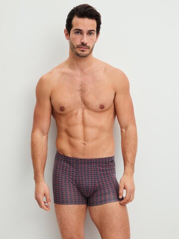 CALIDA Boxershorts 'Grafic Cotton' in Grijs