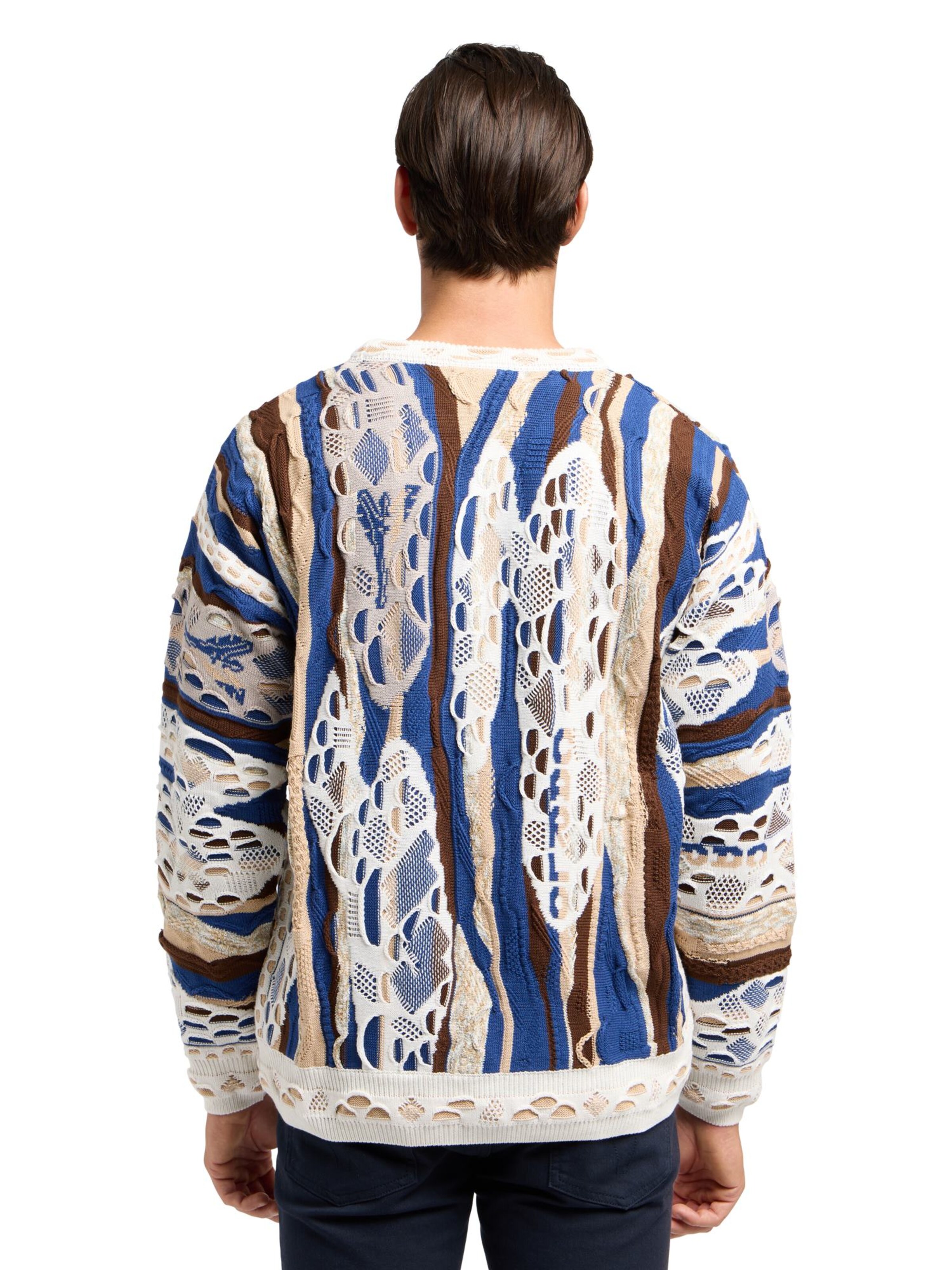 Carlo Colucci Pullover 'Di Panfilo' in Mischfarben