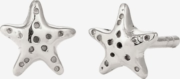 ELLI Oorbellen in Zilver: voorkant