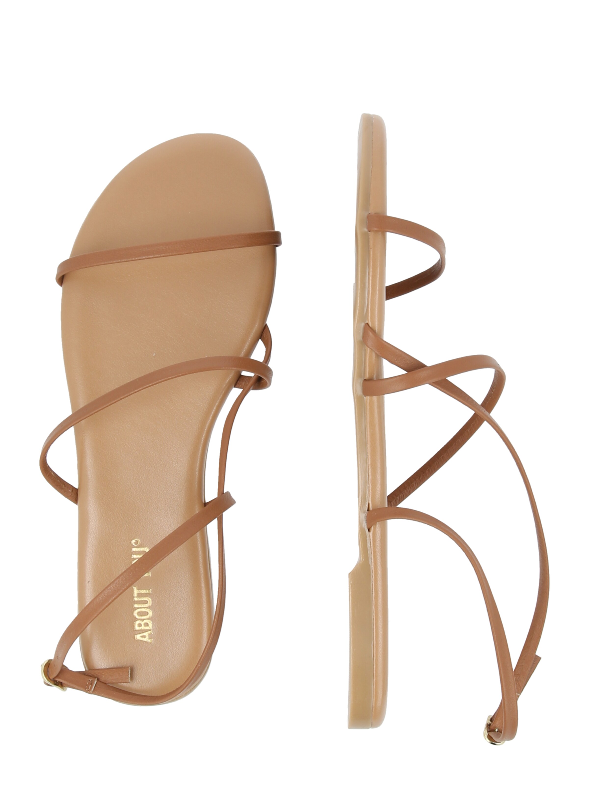 ABOUT YOU Strap Sandals 'Dana' in Brown
