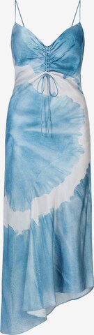 AllSaints Šaty 'ALEXIA MARIANA' – modrá: přední strana