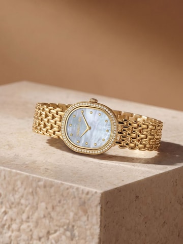 CERRUTI 1881 Analoguhr 'Watch Udine'‌ in Gold