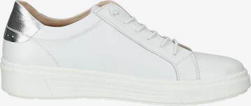 Baskets basses HUSH PUPPIES en blanc