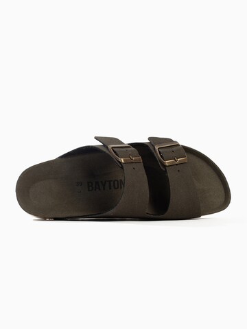 Bayton Mules 'Atlas' in Brown