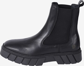 Apple of Eden Chelsea boots 'Dot' in Zwart