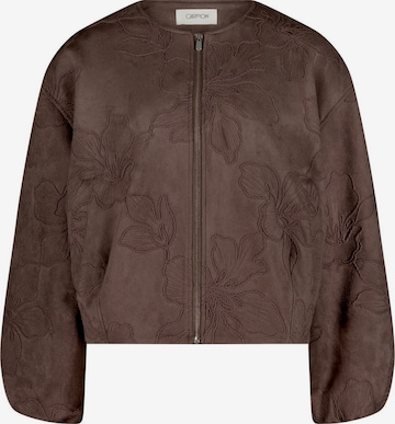Cartoon Blazers in Bruin: voorkant