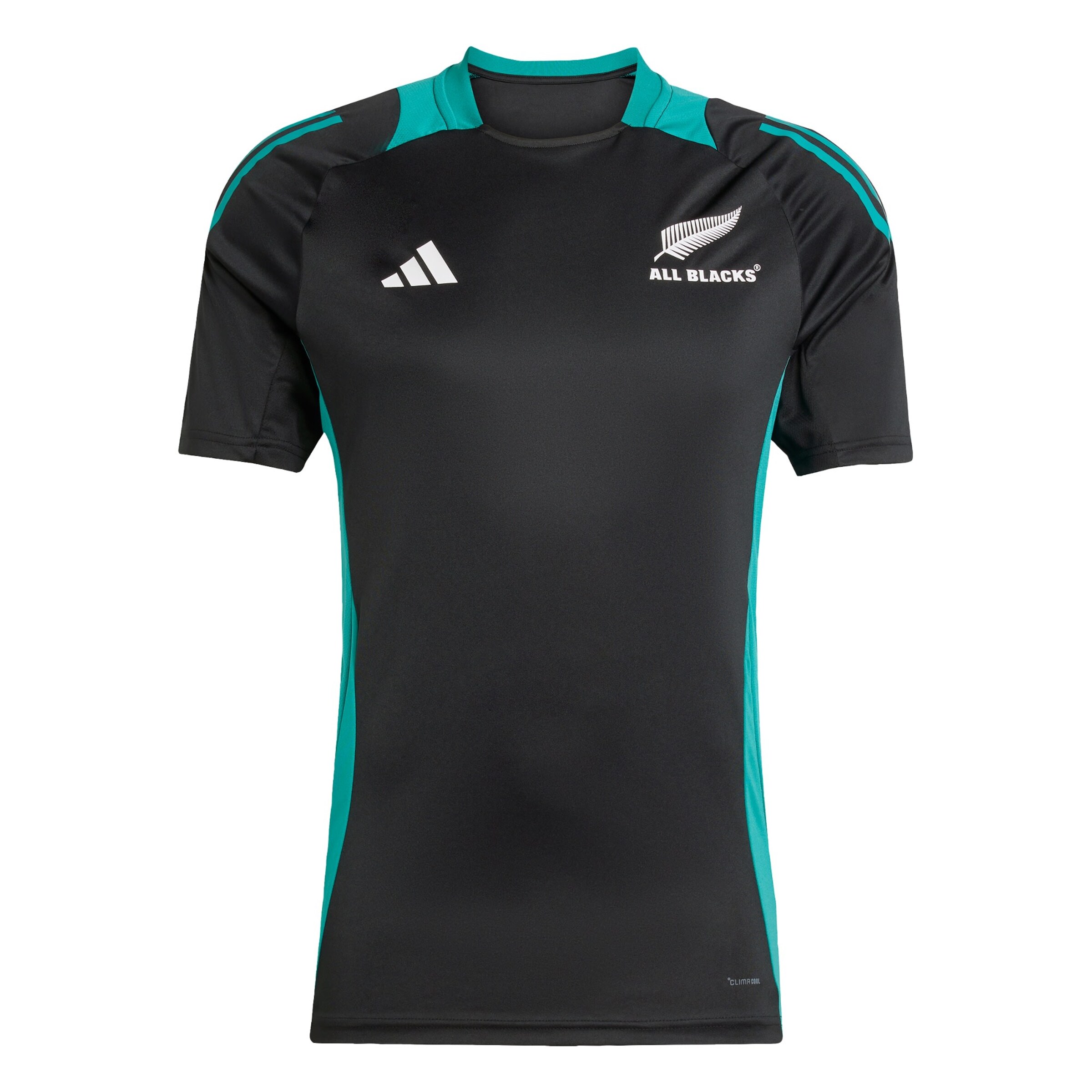 ADIDAS PERFORMANCE - Camiseta de fútbol 'All Blacks' en negro: frente