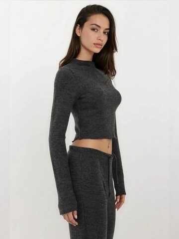 Hiccup Pullover in Grau