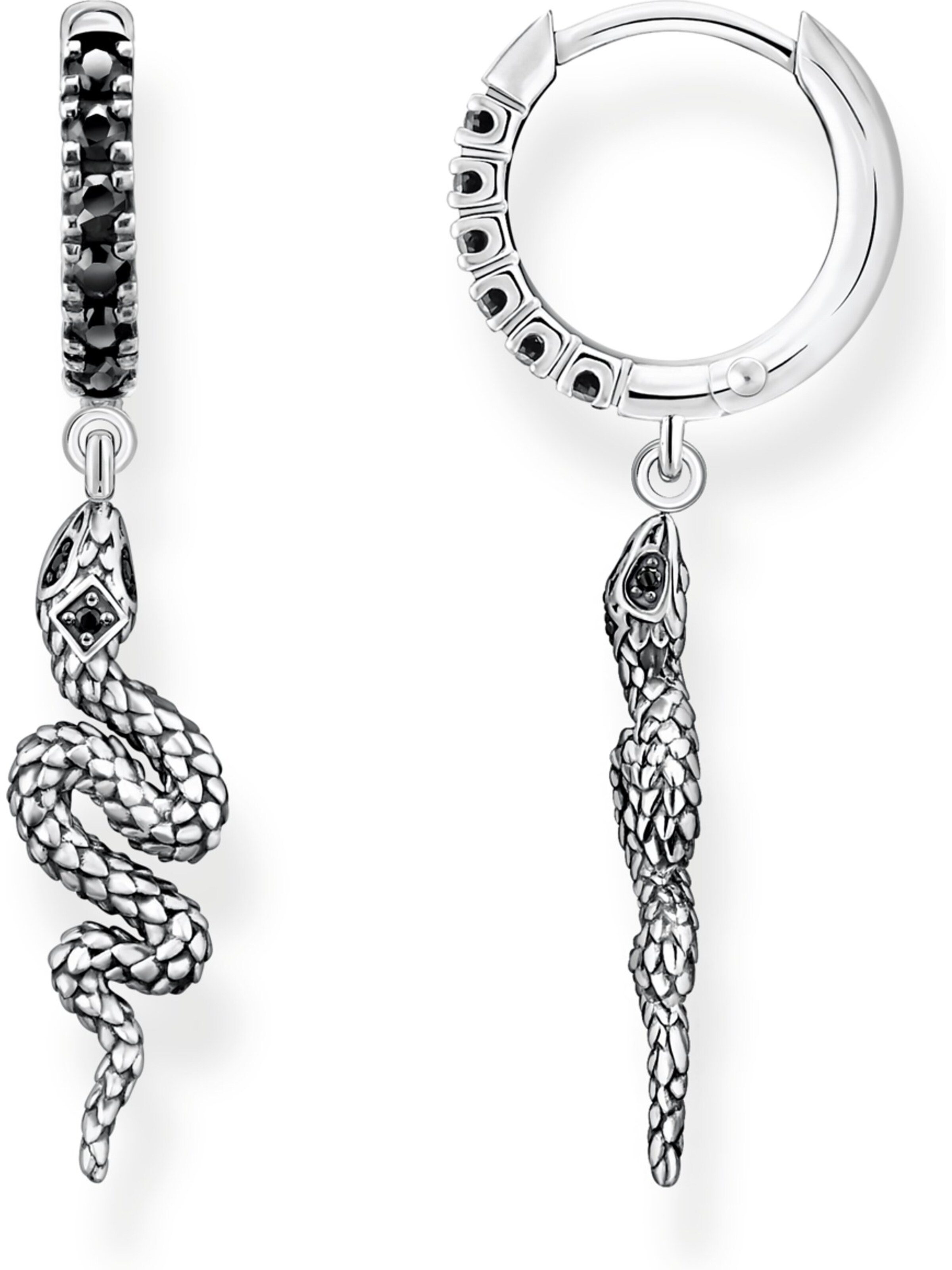 Thomas Sabo Earrings in Silver