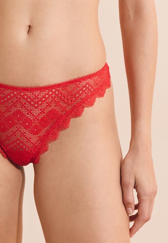 ETAM Thong 'Eclipse' in Red
